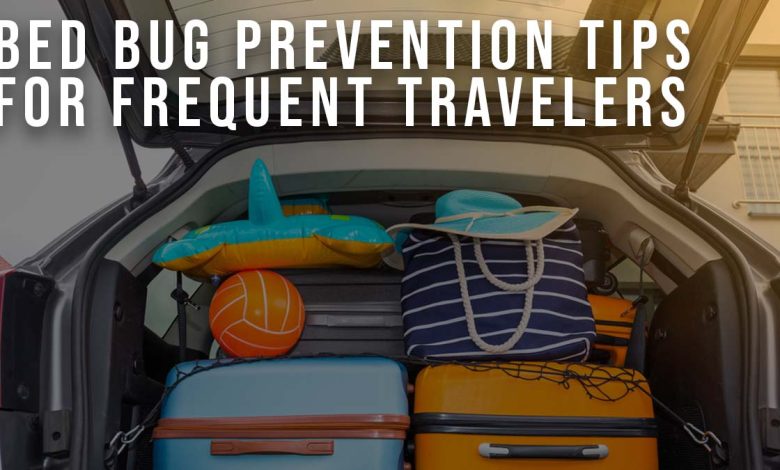 Curated visual reference: Bed Bug Prevention Tips For Frequent Travelers Photo Inspiration